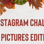 Fall Instagram Challenge: 40 pictures edition!