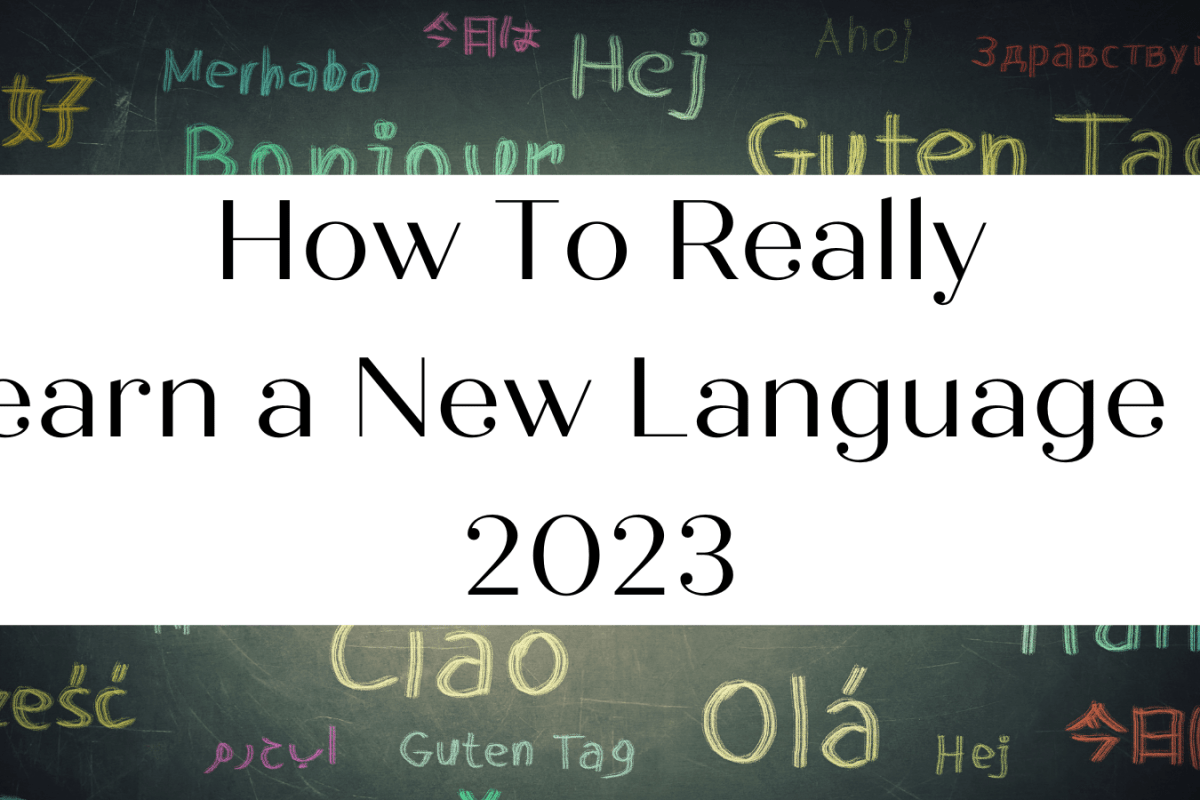 How To Really Learn a New Language in 2023