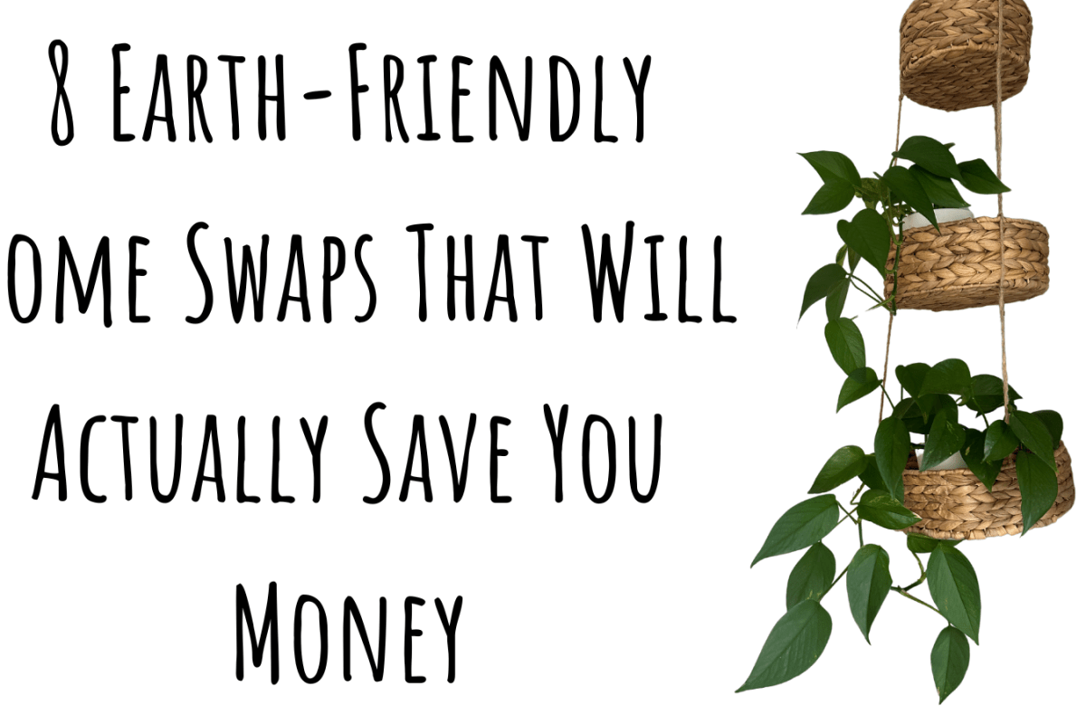8 Earth-Friendly Home Swaps That Will Actually Save You Money