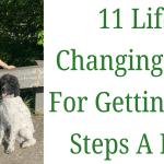 11 Life Changing Tips For Getting 10k Steps A Day