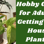 Hobby Guide for Adults: Getting Into House Plants!
