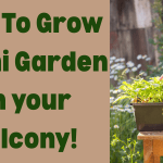 How To Grow a Mini Garden on your Balcony!
