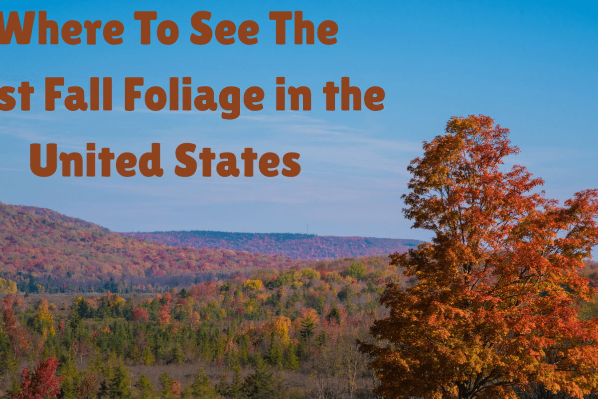 Where To See The Best Fall Foliage in the United States